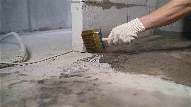 SJ Waterproofing Pros Exterior Waterproofing coverage map for Palisades Park, NJ and surrounding area